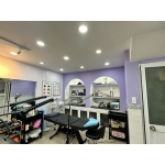 MẸO BẢO DƯỠNG TRẦN THẠCH CAO GIÚP TĂNG TUỔI THỌ GẤP ĐÔI