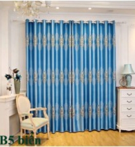 Màn cửa chính 11