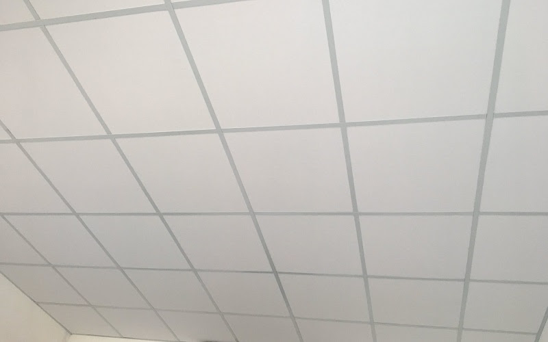 thi-cong-tran-thach-cao-tha-600x600-gia-re-nhat-khu-vuc-tphcm